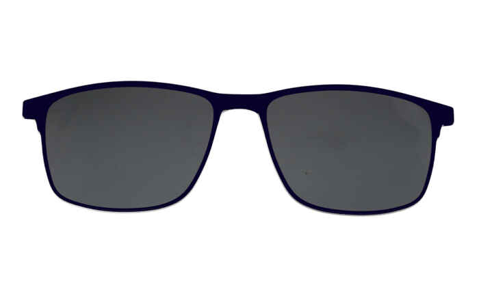 Brille P·A·S·S P665 schwarz matt