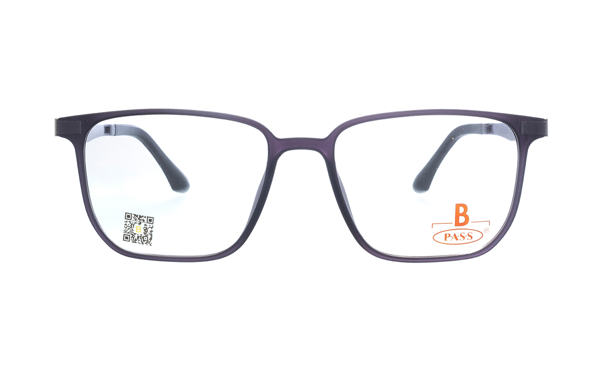 Brille P·A·S·S P667  | Brillenmann