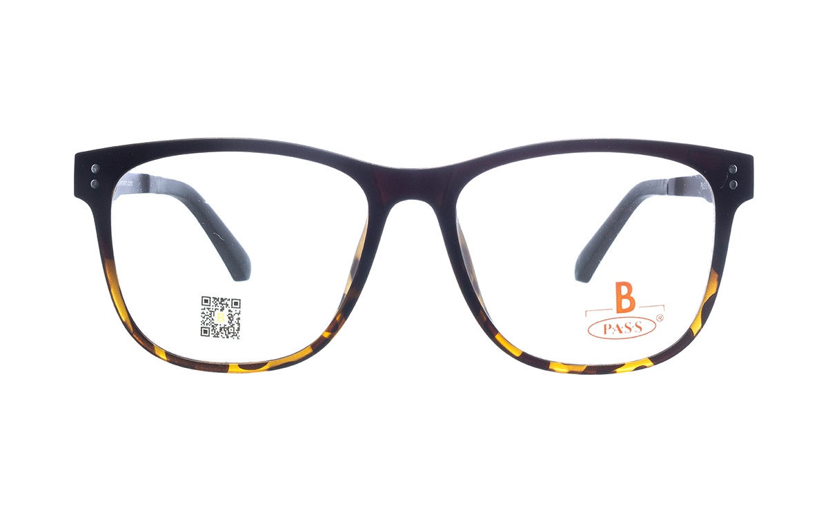 Brille P·A·S·S P671  | Brillenmann