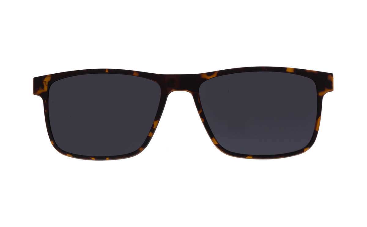 Brille P·A·S·S P673  | Brillenmann